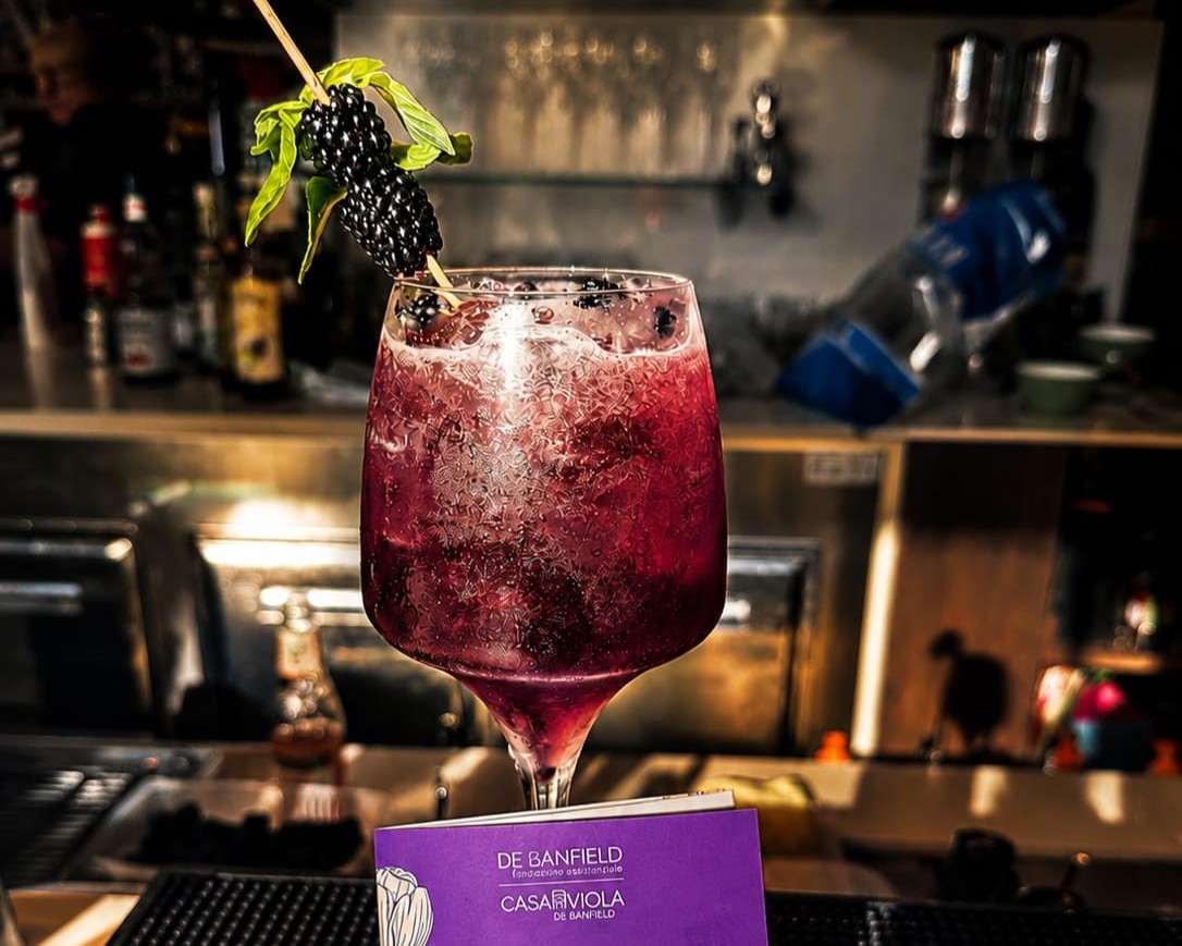 2026 Viola - BAR X