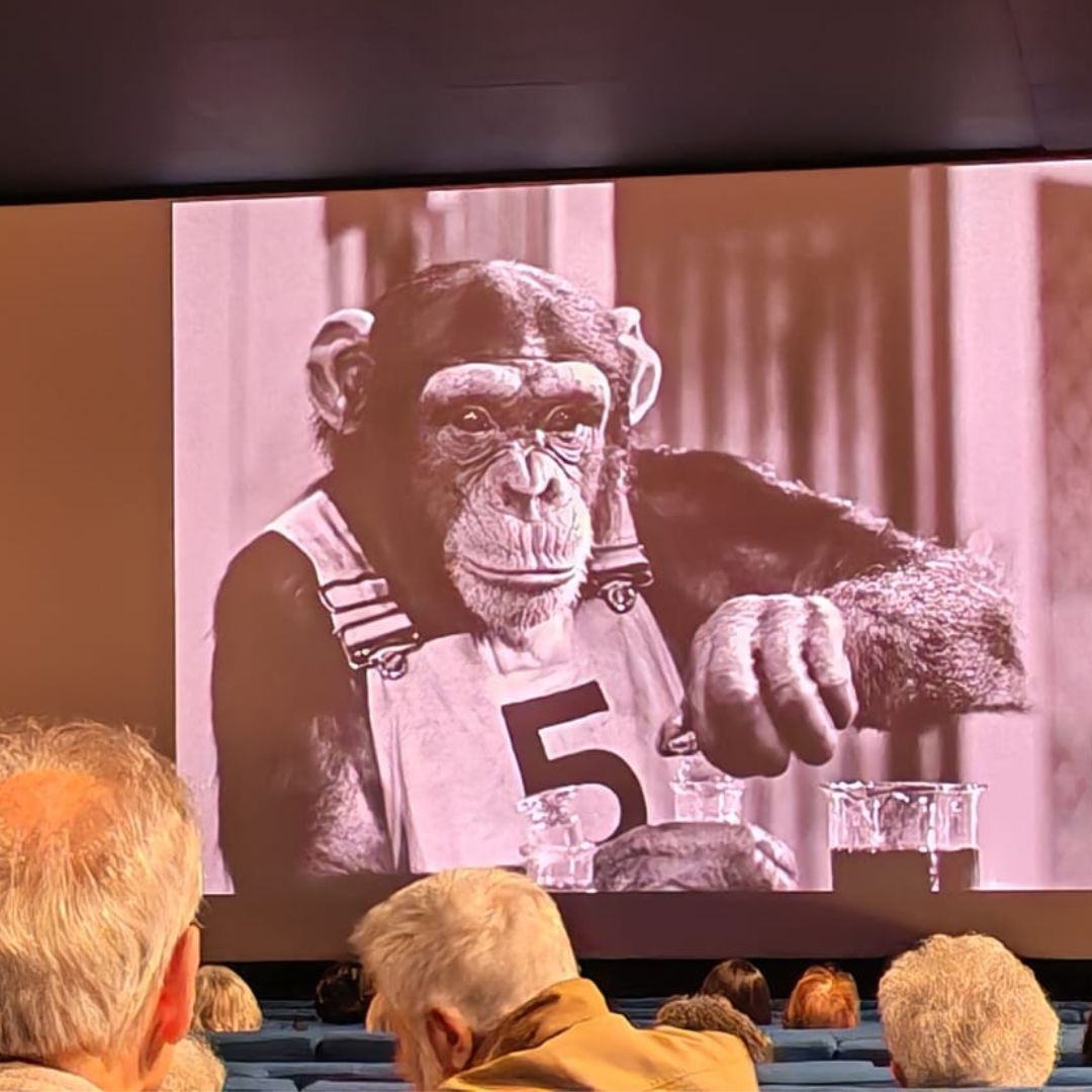 2026.02.14 Un Cinema per Amico (2)