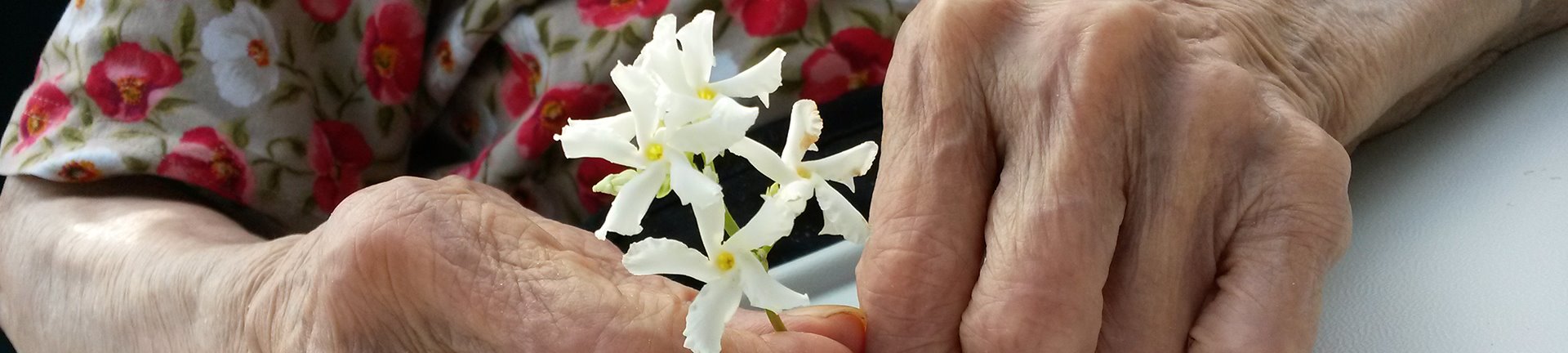 Una donna anzian tiene tra le mani un fiore