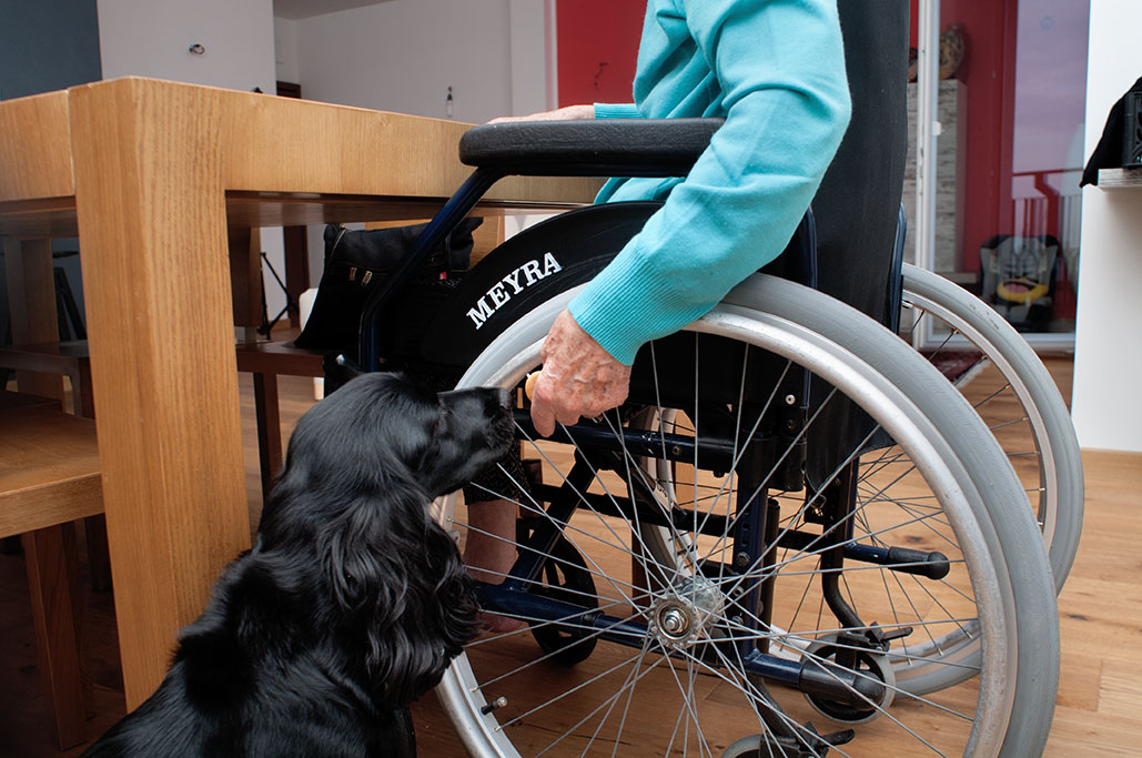 In foto una donna anziana in carrozzina, al tavolo di casa, che porge la mano al cane.